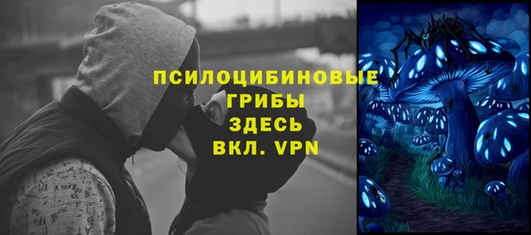 мяу мяу мука Армянск