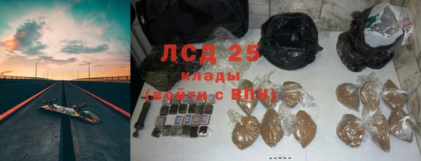 хмурый Аркадак