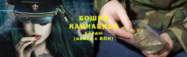 ПСИЛОЦИБИНОВЫЕ ГРИБЫ Балабаново
