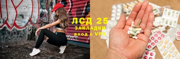 ПСИЛОЦИБИНОВЫЕ ГРИБЫ Балабаново